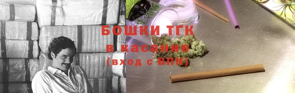 стаф Абинск