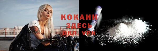 стаф Абинск