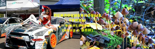 стаф Абинск