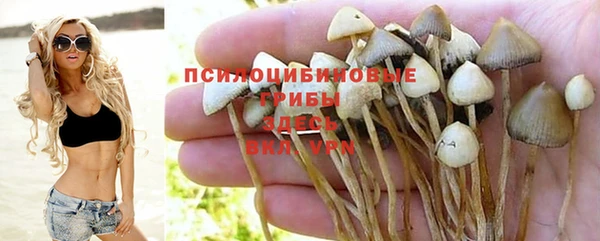 стаф Абинск
